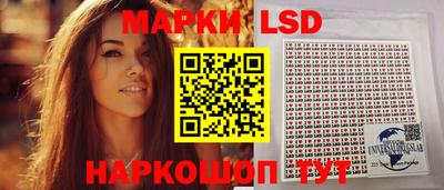 мет Кингисепп