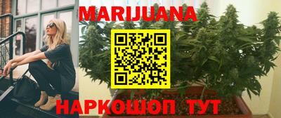 мет Кингисепп